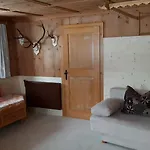 Wolf *